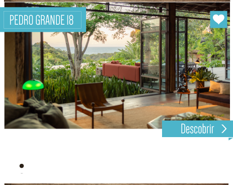 casas adriana bozon trancoso para alugar